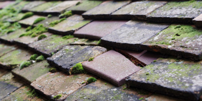 Began roof repair costs